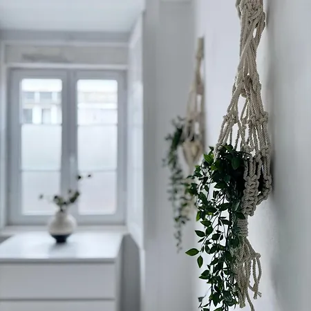 Homemode Graça Ii *