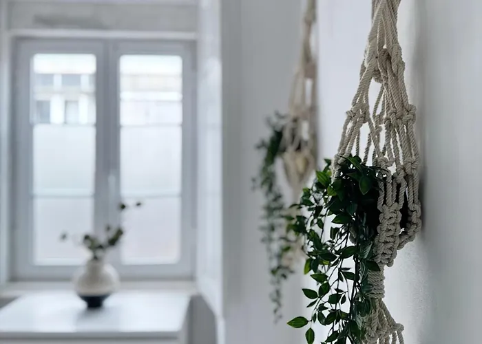 Charming In Graca Ii *